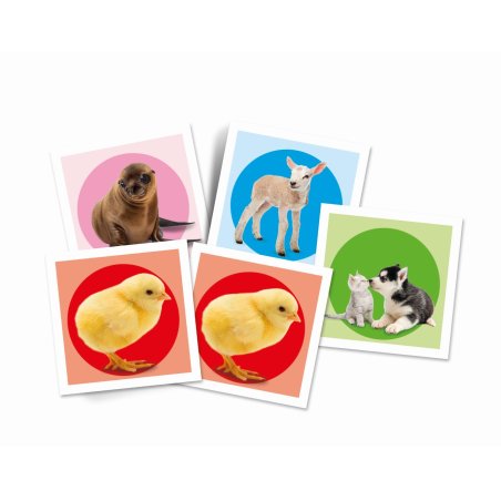 Baby Animals Memo Pocket