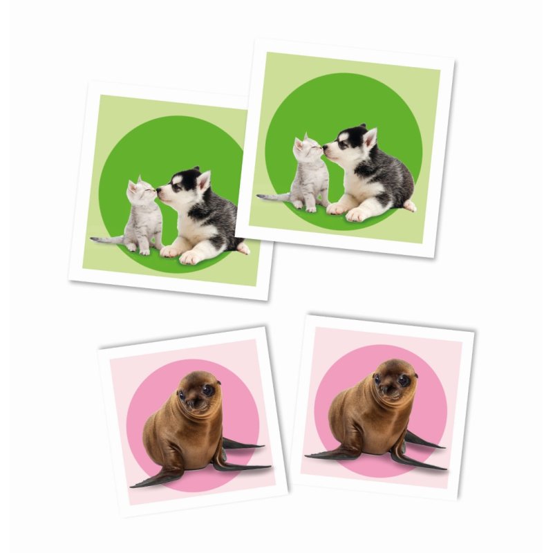 Baby Animals Memo Pocket