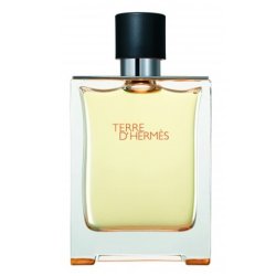 Tester Hermes Terre D`Hermes Edt 100ml