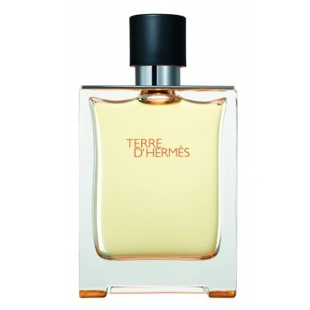 Tester Hermes Terre D`Hermes Edt 100ml