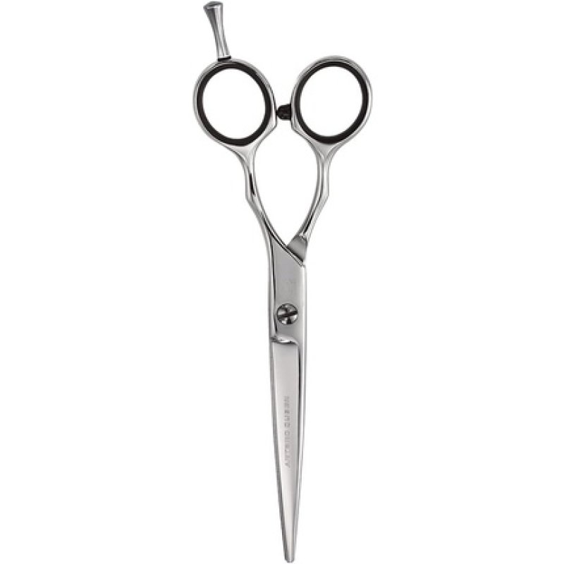 Artero 6 Hairdresser Queen Scissors