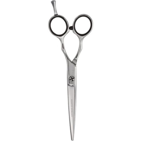 Artero 6 Hairdresser Queen Scissors