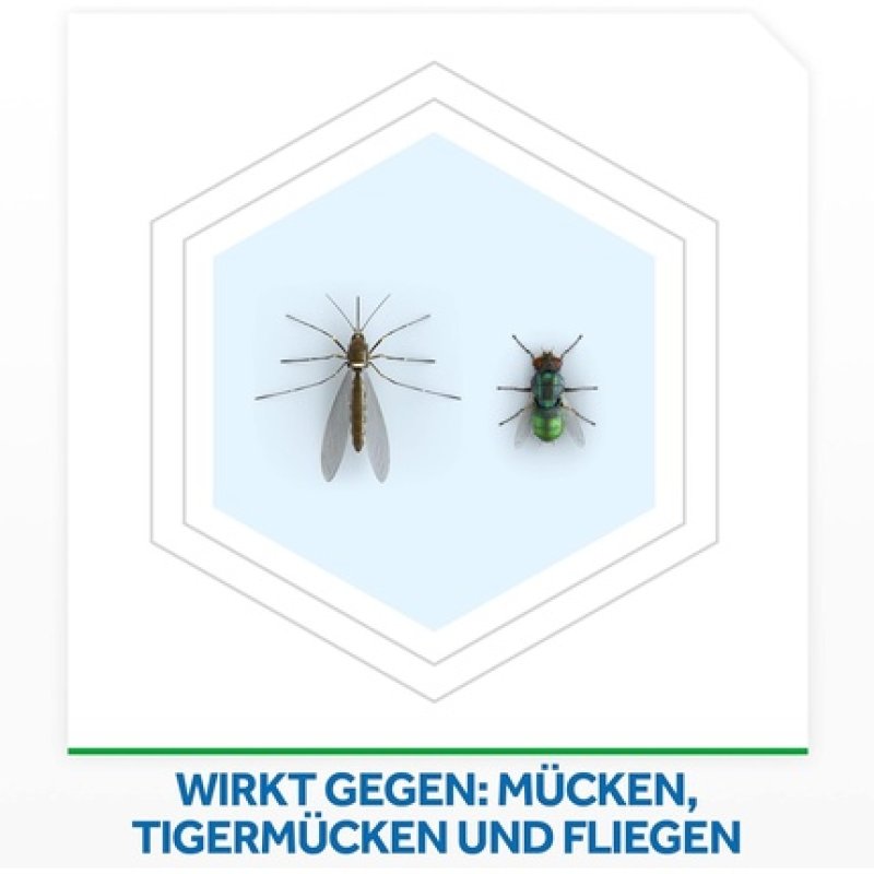 Raid Night & Day Refill Insect Plug for up to 24 Hours Protection (Lasts up to 10 Days)