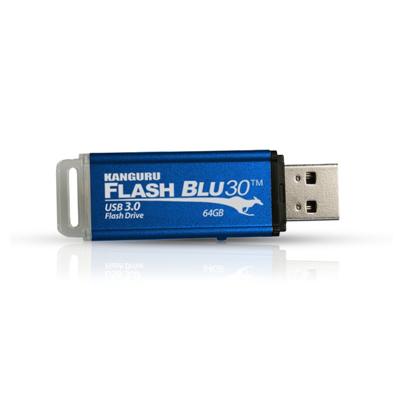iStorage Kanguru ALK-FB30-16G lecteur USB flash 16 Go USB Type-A 3.2 Gen 1 (3.1 Gen 1) Bleu