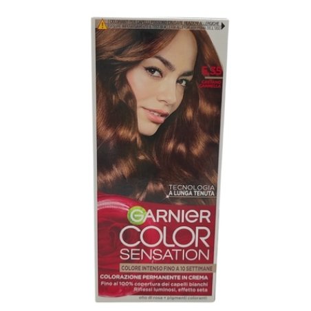 Garnier Color Sensation 535 Chestnut Cinnamon Hair Color