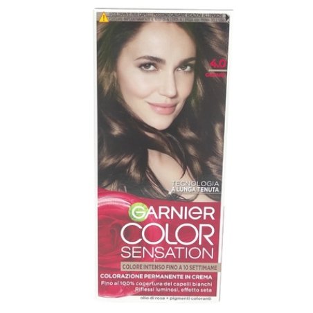 Garnier Color Sensation 40 Chestnut Hair Color
