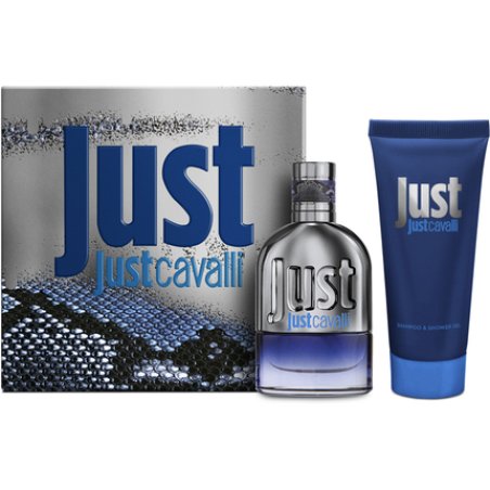 Roberto Cavalli Just For Him H Cavalli Eau De Toilette 30 Ml Vaporizer Shower Gel 100 Ml
