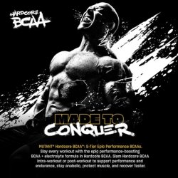 Hardcore BCAA Fruit Punch 30 Servings