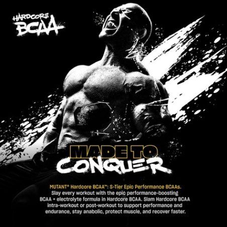 Hardcore BCAA Fruit Punch 30 Servings