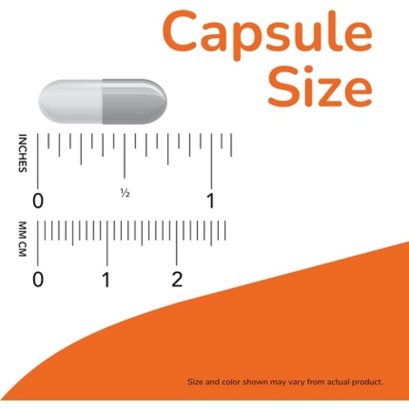 Now Foods Quercetin Phytosome 250mg Balanced Immune System 90 Capsules