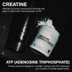 Raw Nutrition Creatine Monohydrate Powder Unflavored Micronized