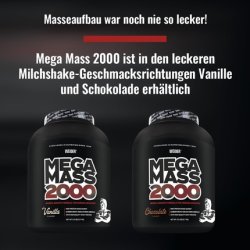Weider Mega Mass 2000 Weight Gainer for Muscle Building - Delicious Mass Gainer Shake