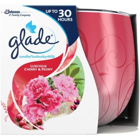 Glade Scented Candle, Air Freshener Wax Candle For Aromatherapy, 120 G, 30 Hour
