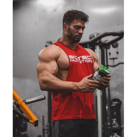 Scitec Nutrition BCAA Glutamine Xpress Powder 600g - Apple Flavor