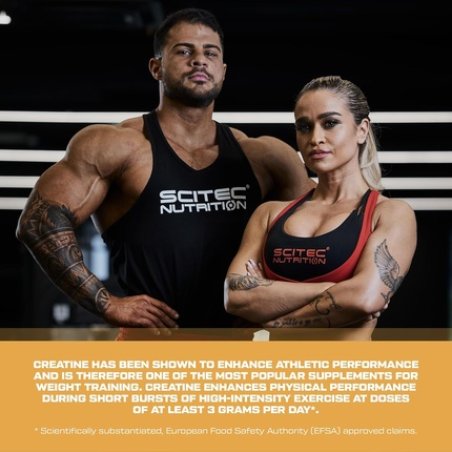 Scitec Nutrition Mega Creatine Monohydrate 1320 Food Supplement Capsules