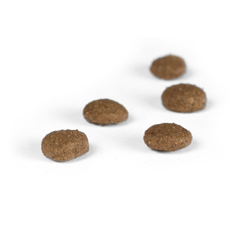 Josera 9702 cats dry food 2 kg Adult Poultry Rice