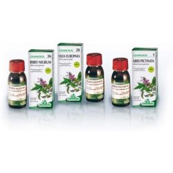 Gemmosol 28 Olivo 50ml