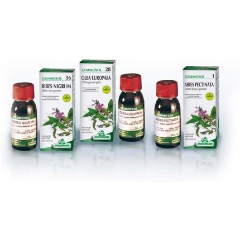 Gemmosol 28 Olivo 50ml