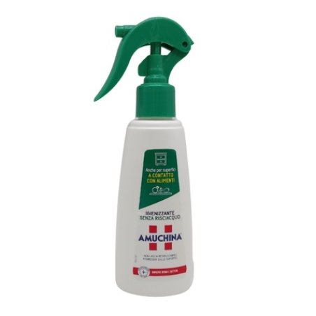 Amuchina Spray 100 Ml Sanitizing Spray Without Rinsing