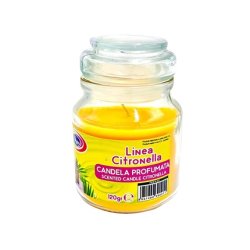 Vapa Professional Candle 120 Gr Yankee Citronella