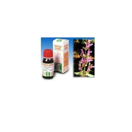 Specchiassol 25 Sage 50ml