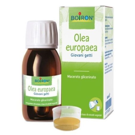 Olea Europaea Boiron Glycerin Macerate 60ml