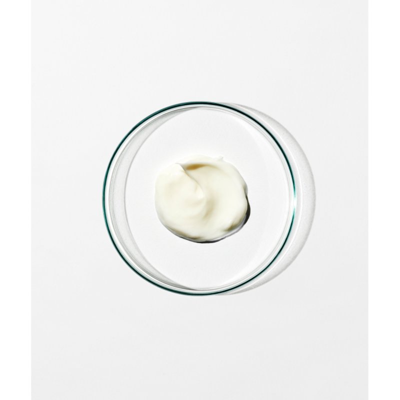 Grown Alchemist Aspartic Amino Acid Hydrolyzed Quinoa Protein Ootanga Colour Protect Conditioner