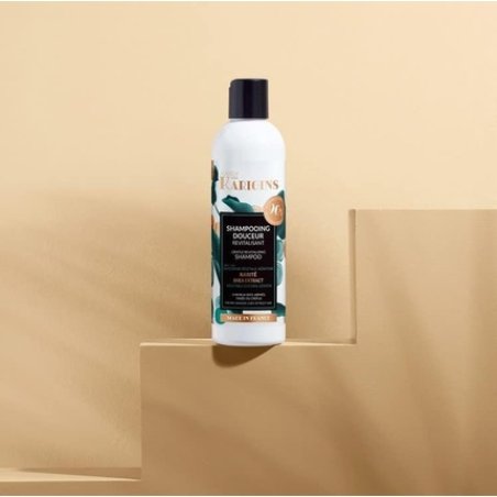Kairlykarigins Gentle Revitalizing Shampoo for Easier Styling
