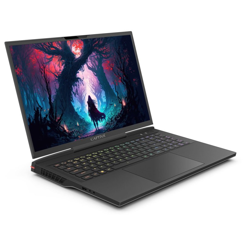 CAPTIVA Ultimate Gaming I81-601 Intel Core™ i9 i9-14900HX Ordinateur portable 43,9 cm (17.3") WQXGA 32 Go DDR5-SDRAM