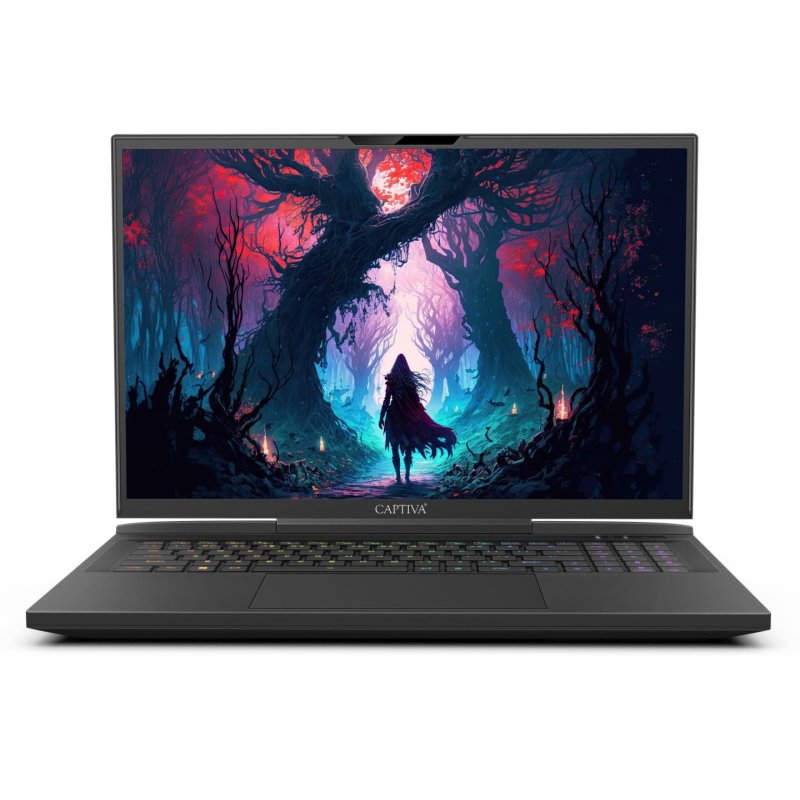 CAPTIVA Ultimate Gaming I81-601 Intel Core™ i9 i9-14900HX Ordinateur portable 43,9 cm (17.3") WQXGA 32 Go DDR5-SDRAM