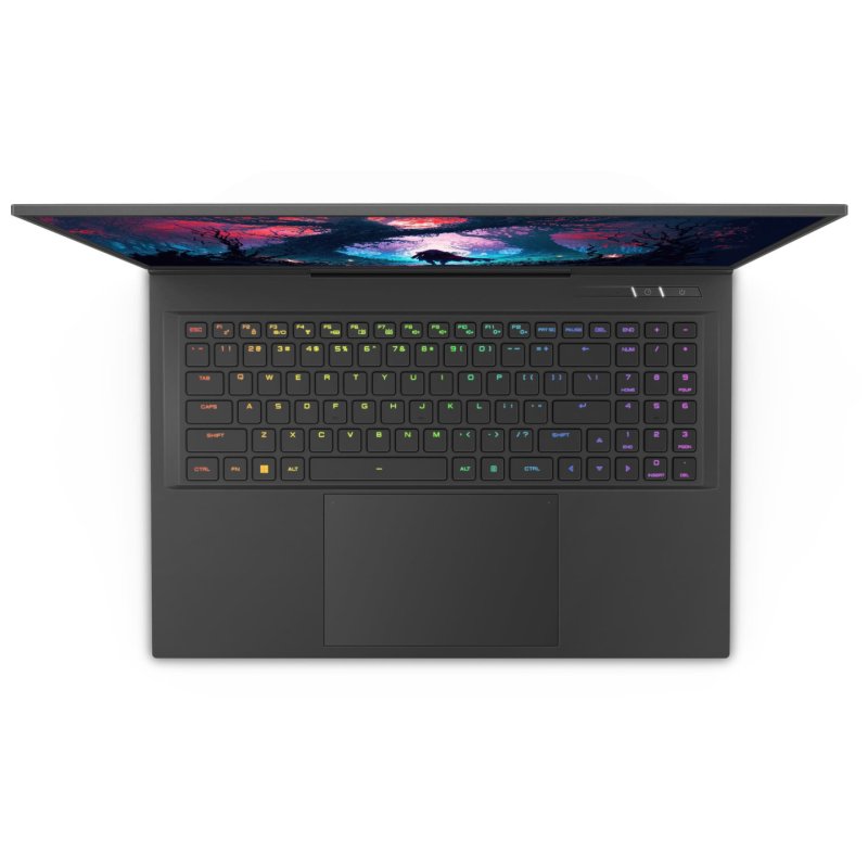 CAPTIVA Ultimate Gaming I81-601 Intel Core™ i9 i9-14900HX Laptop 43.9 cm (17.3") WQXGA 32 GB DDR5-SDRAM 2 TB SSD