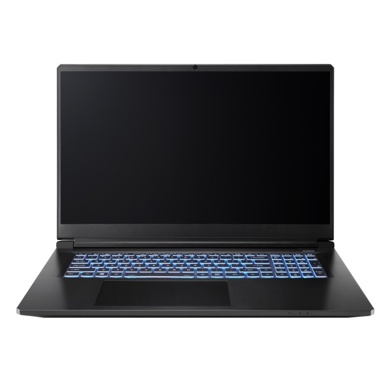 Captiva Notebook Highend Gaming I94-365GE i7-13620H (17.3, 32GB, 1TB SSD, GeForce RTX 5070 8GB, w/o OS)