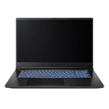 Captiva Notebook Highend Gaming I94-365GE i7-13620H (17.3, 32GB, 1TB SSD, GeForce RTX 5070 8GB, w/o OS)