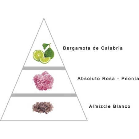 Misdi Bouquet Women's Perfume Romantic and Elegant Floral Fragrance