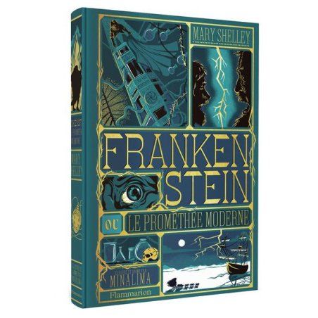 FRANKENSTEIN - Illustration par Minalima