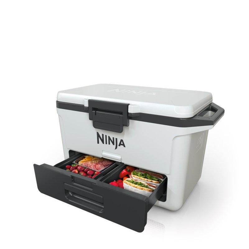 Ninja FB151EUWH FrostVault 47 L Kühlbox mit Trockenzone Wolkenweiß