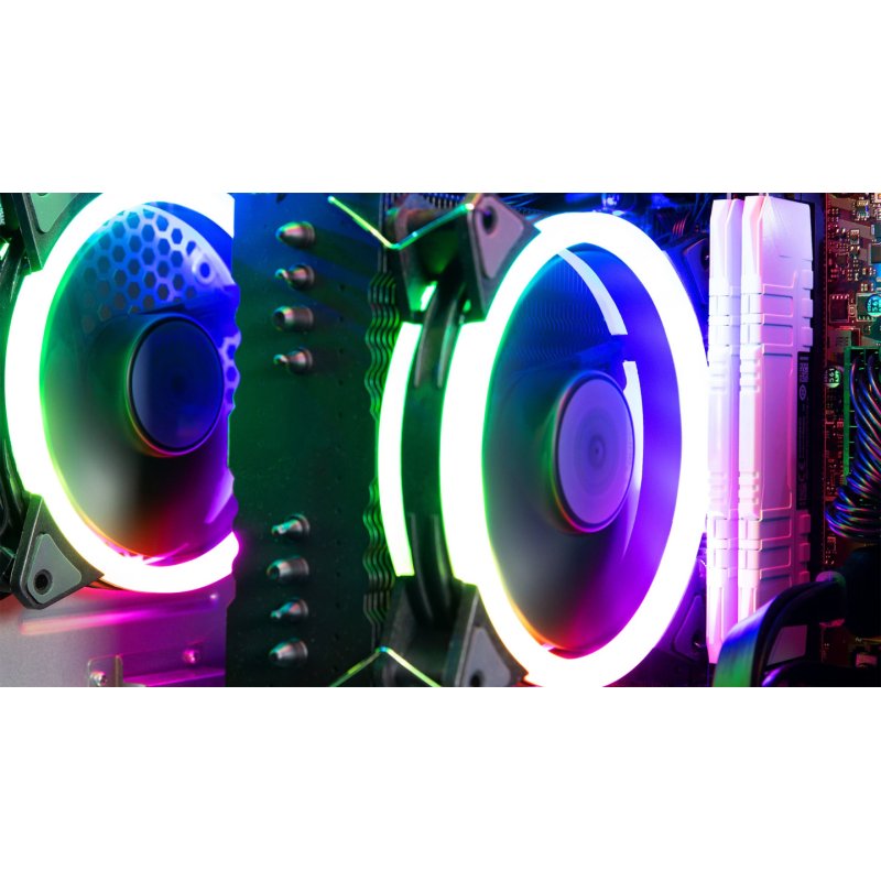 CAPTIVA Advanced Gaming I80-574 Intel Core™ i5 i5-14400 16 Go DDR4-SDRAM 500 Go SSD NVIDIA GeForce RTX 4060 Ti