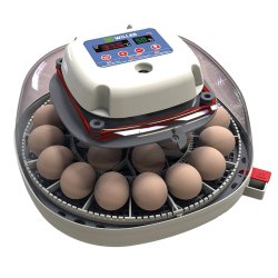 Willab - Egg incubator with built-in egg light