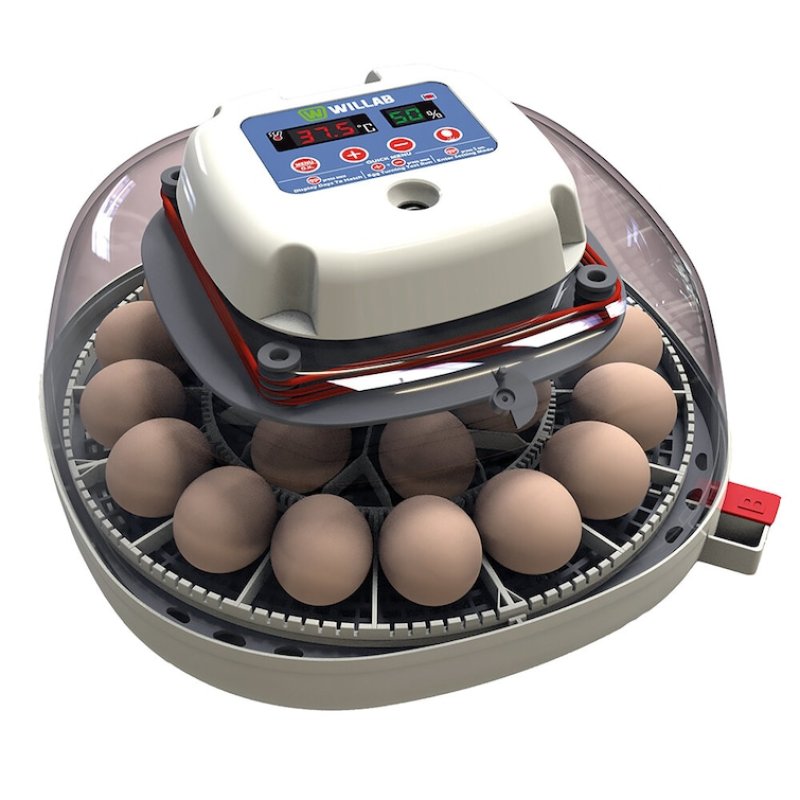 Willab - Egg incubator with built-in egg light