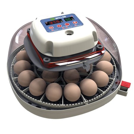 Willab - Egg incubator with built-in egg light