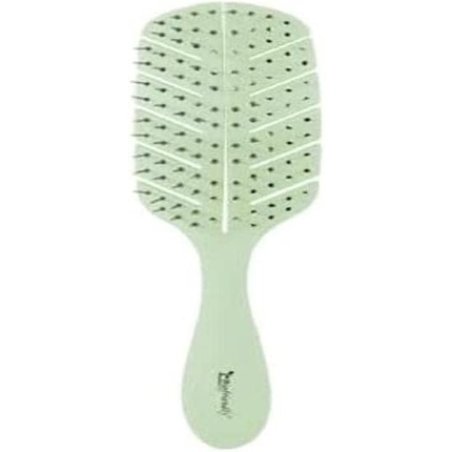 BIFULL Biodegradable Green Biofriendly Disc Brush Black Standard
