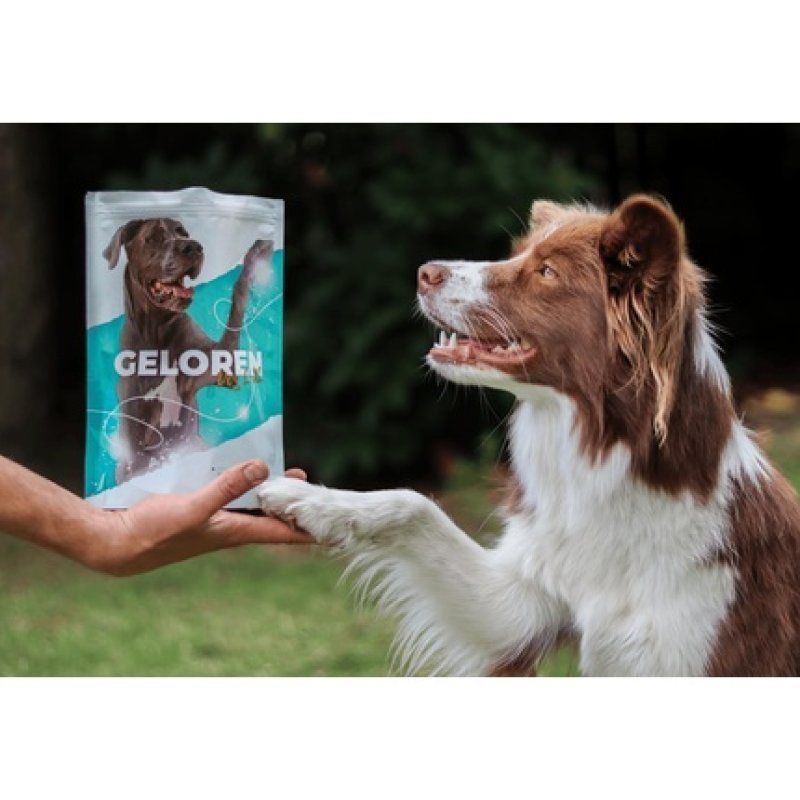Geloren Dog Supplement HA Large Dog 420g