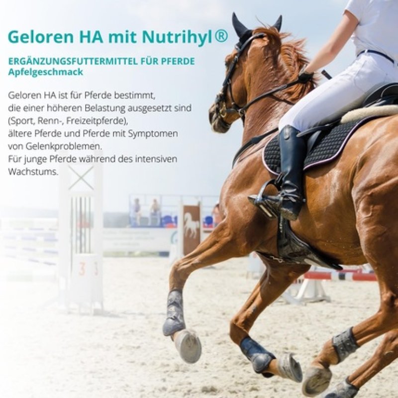Geloren Horse Additives for Joints HA Hyaluronic Acid Natural Jelly Cubes for Horses Apple 450g