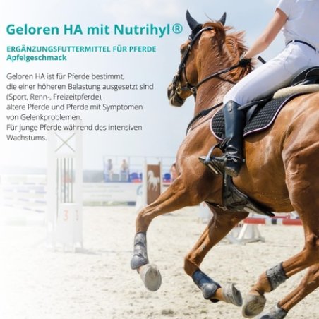 Geloren Horse Additives for Joints HA Hyaluronic Acid Natural Jelly Cubes for Horses Apple 450g