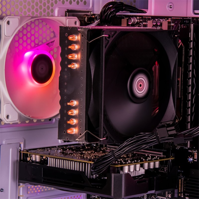 CAPTIVA 92536 PC/poste de travail AMD Ryzen™ 5 5500 16 Go DDR4-SDRAM 500 Go SSD NVIDIA GeForce RTX 5060 Windows 11