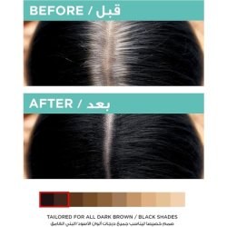 L'Oreal Paris Magic Retouch Instant Root Concealer Black