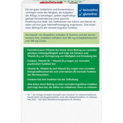 Doppelherz Ginkgo B Vitamins Choline with Pantothenic Acid for Normal Mental Performance 40 Capsules