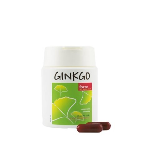 Natiris Ginkgo Forte 30 Capsules