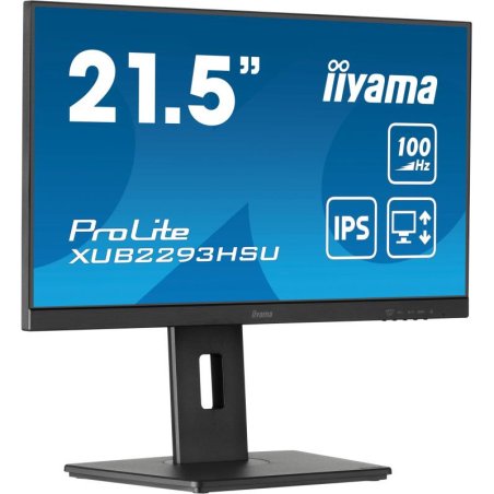 22\W LCD Business Full HD IPS