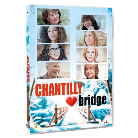 Chantily Bridge